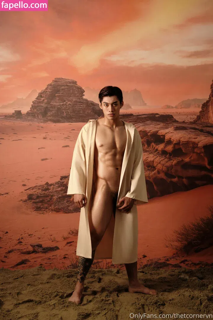 thetcorner / thetcornervn Onlyfans Photo Gallery 