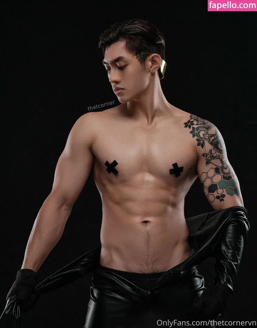 thetcorner / thetcornervn Onlyfans Photo Gallery 