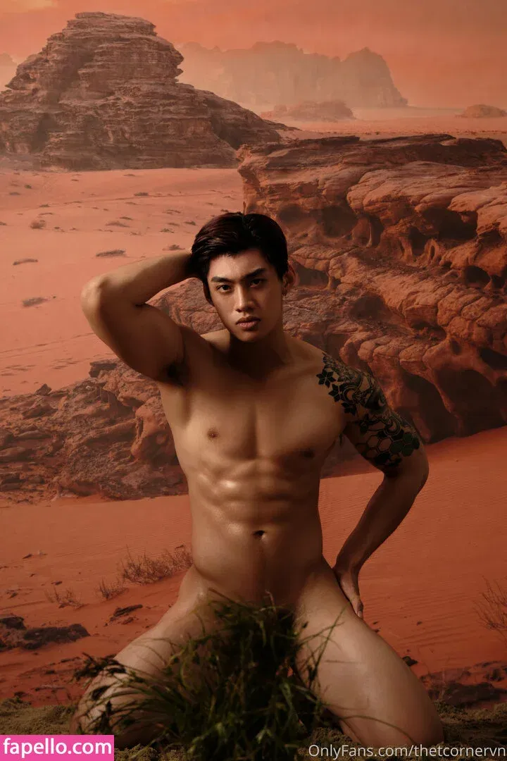 thetcorner / thetcornervn Onlyfans Photo Gallery 