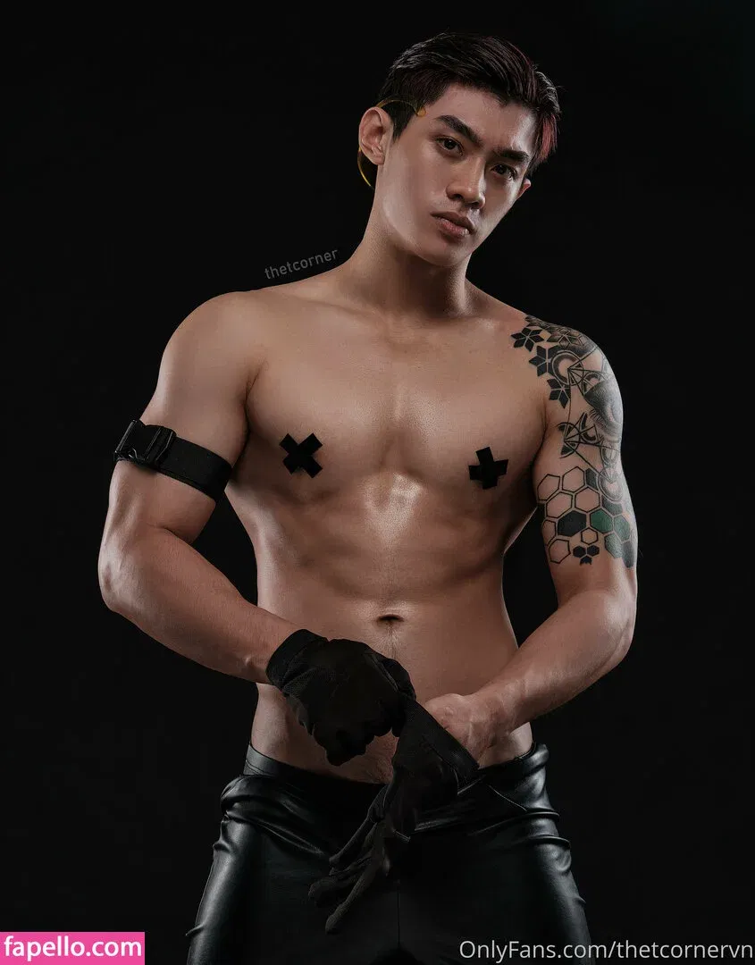 thetcorner / thetcornervn Onlyfans Photo Gallery 