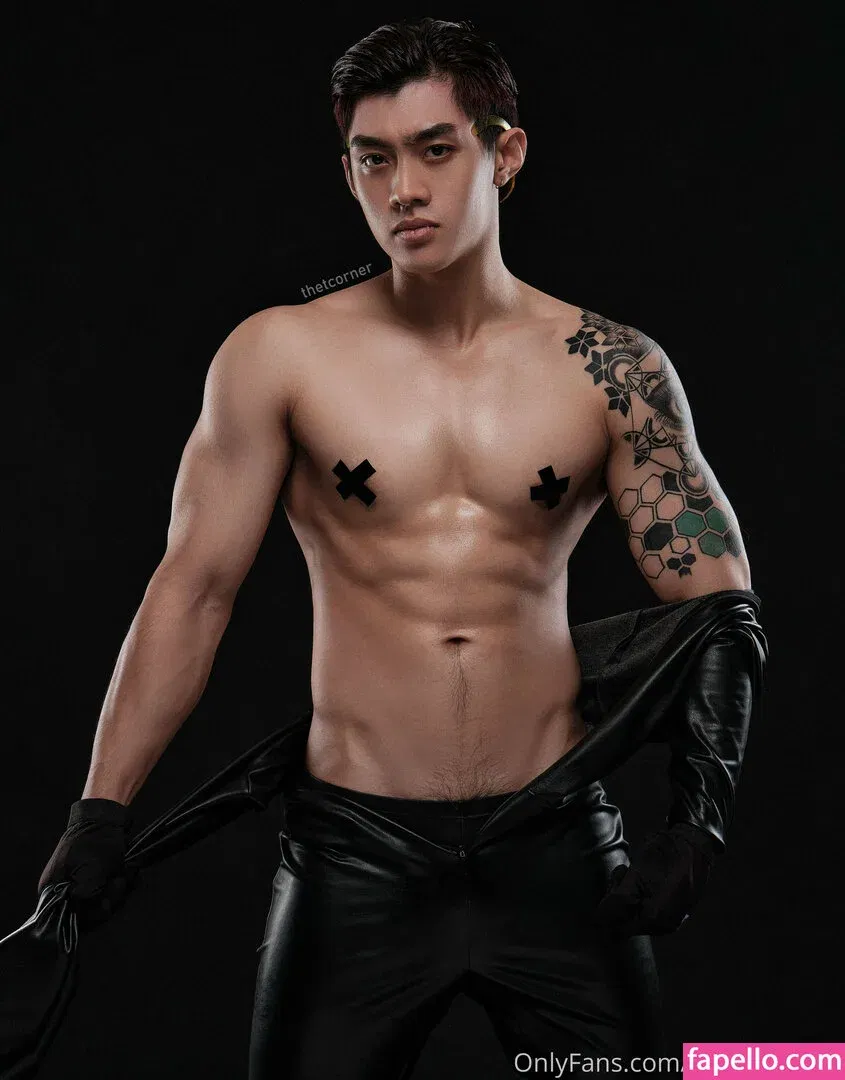 thetcorner / thetcornervn Onlyfans Photo Gallery 