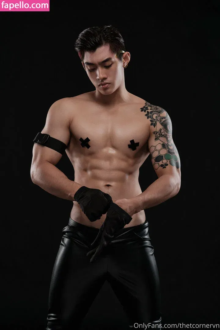 thetcorner / thetcornervn Onlyfans Photo Gallery 