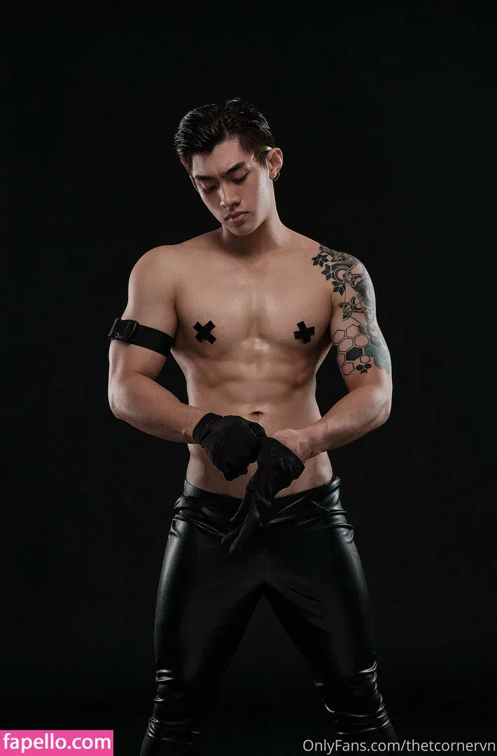 thetcorner / thetcornervn Onlyfans Photo Gallery 