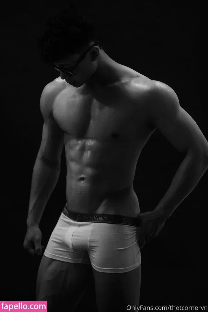 thetcorner / thetcornervn Onlyfans Photo Gallery 