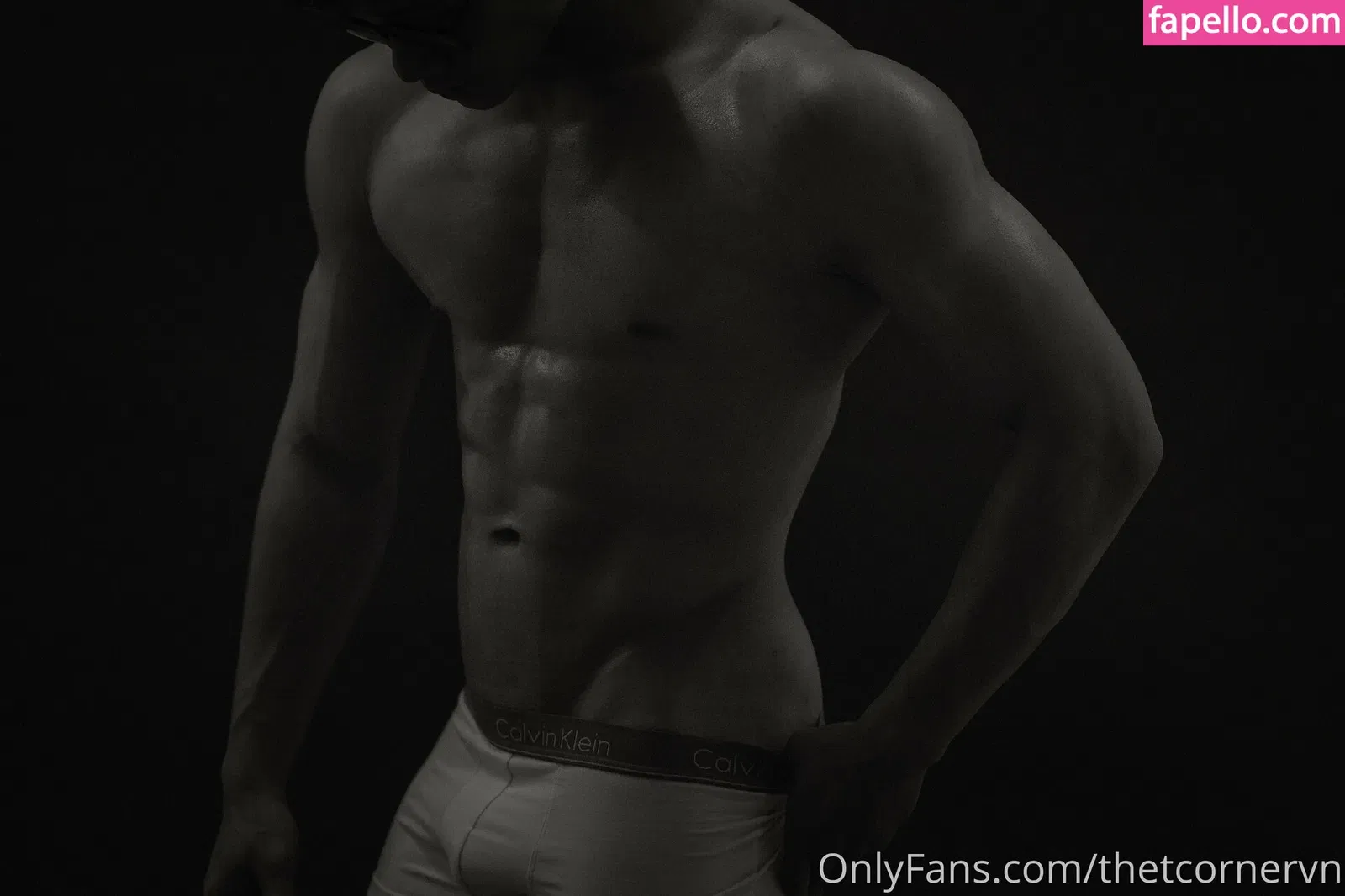 thetcorner / thetcornervn Onlyfans Photo Gallery 