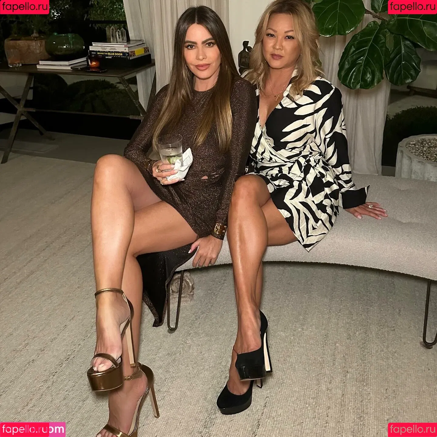 Sofia Vergara / sofiavergara / vergarasofia Onlyfans Photo Gallery 