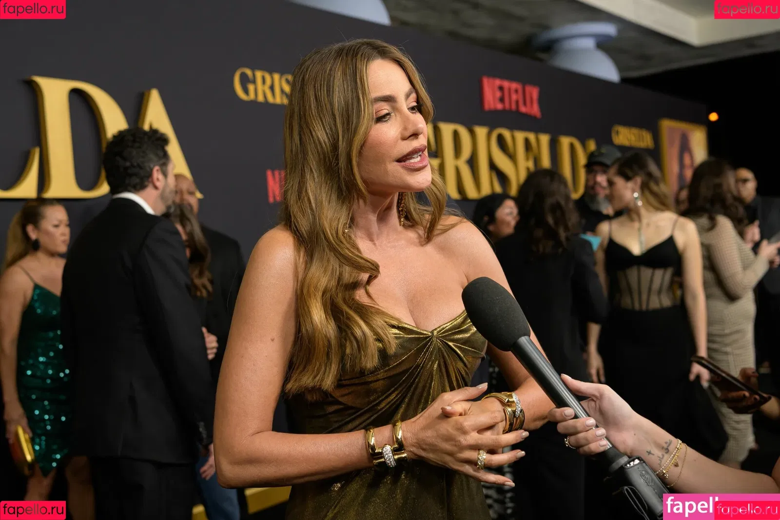 Sofia Vergara / sofiavergara / vergarasofia Onlyfans Photo Gallery 