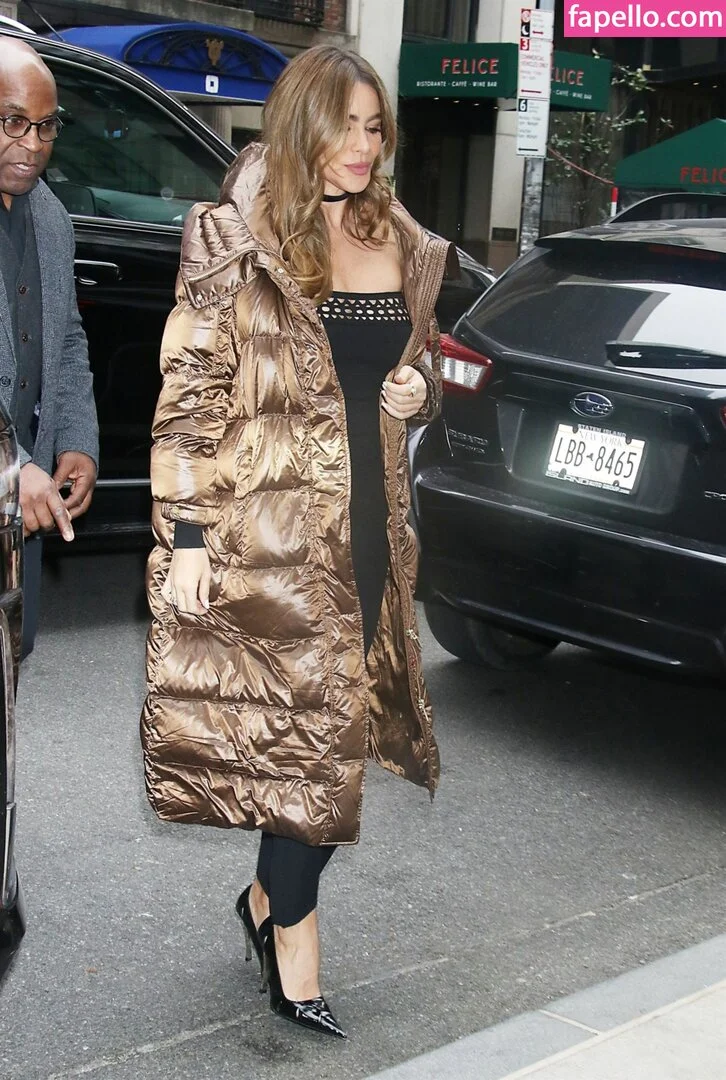 Sofia Vergara / sofiavergara / vergarasofia Onlyfans Photo Gallery 