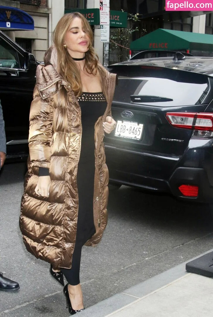 Sofia Vergara / sofiavergara / vergarasofia Onlyfans Photo Gallery 