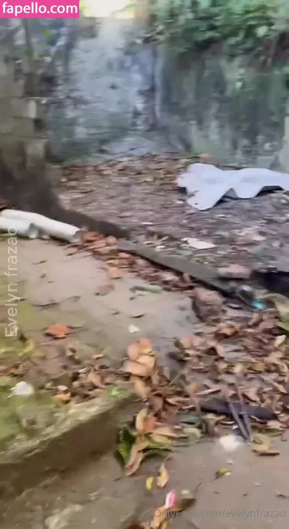 evelynfrazao / evelynfrazaolira23 Onlyfans Photo Gallery 