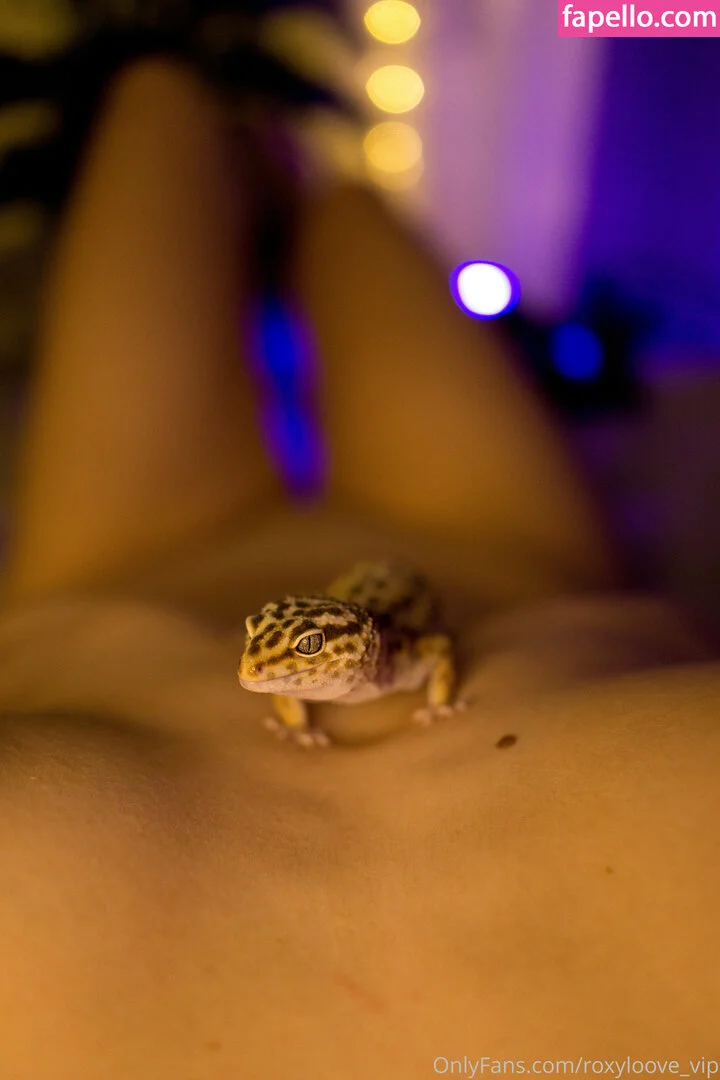 mayberoxy / roxyloove_vip Onlyfans Photo Gallery 