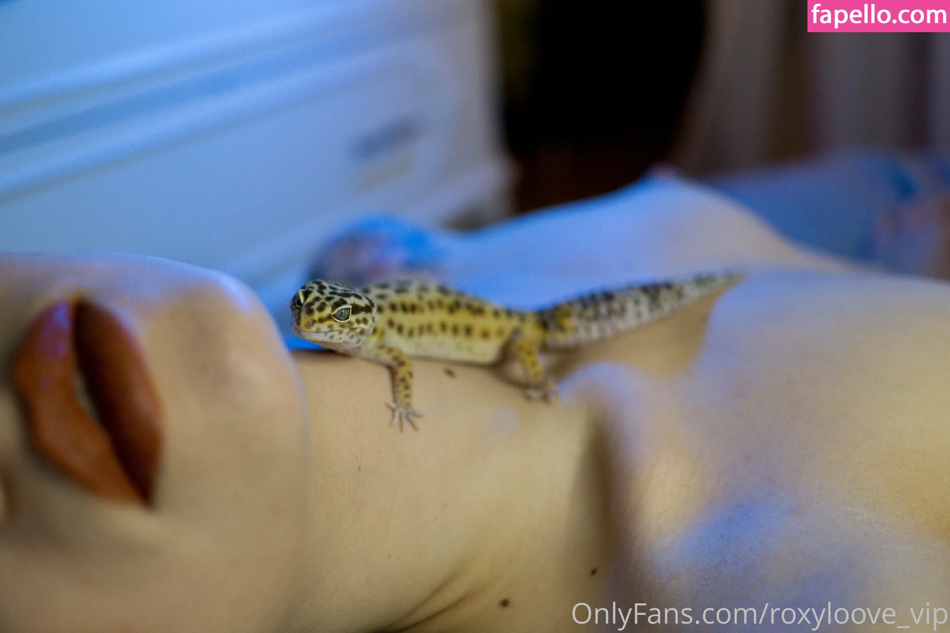 mayberoxy / roxyloove_vip Onlyfans Photo Gallery 