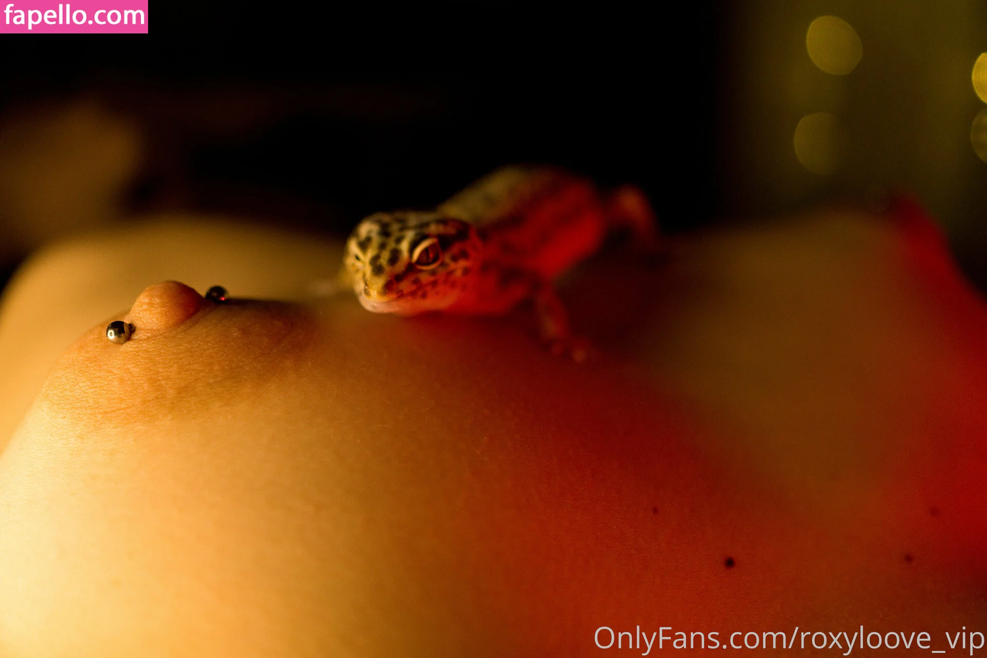 mayberoxy / roxyloove_vip Onlyfans Photo Gallery 