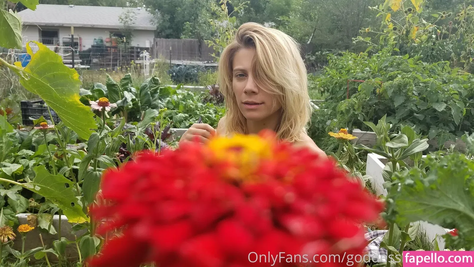 goddesslailadelight / lailadelight Onlyfans Photo Gallery 