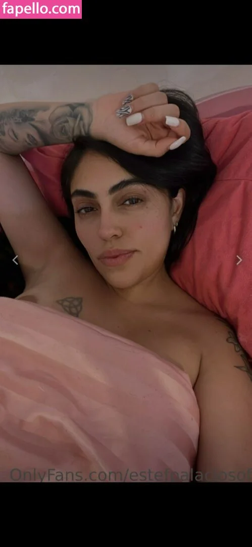 estefpalaciosm Nude Onlyfans Photo 39