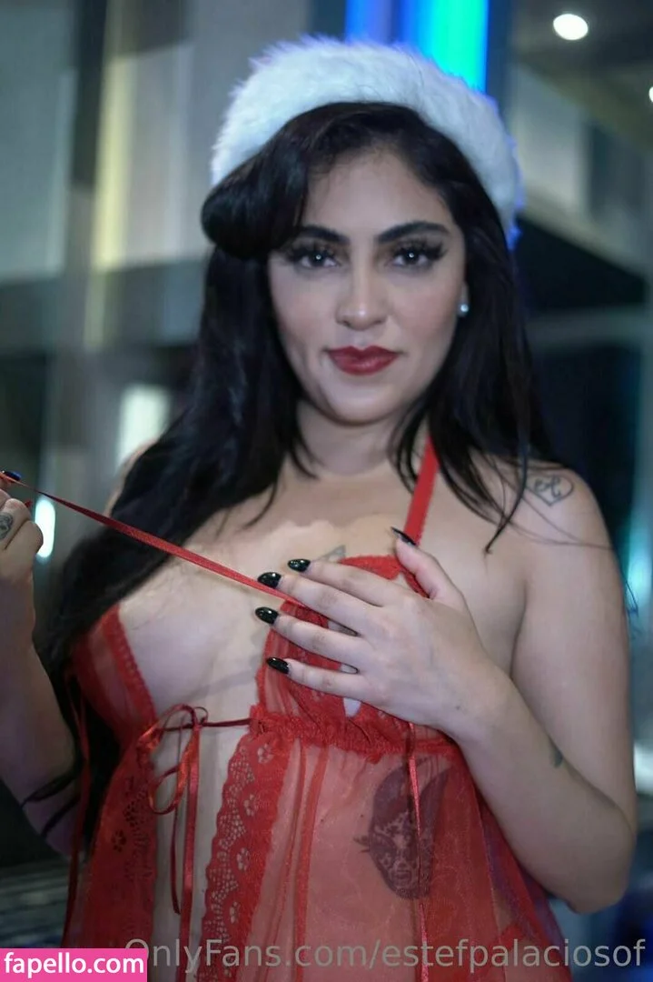 estefpalaciosm Nude Onlyfans Photo 34