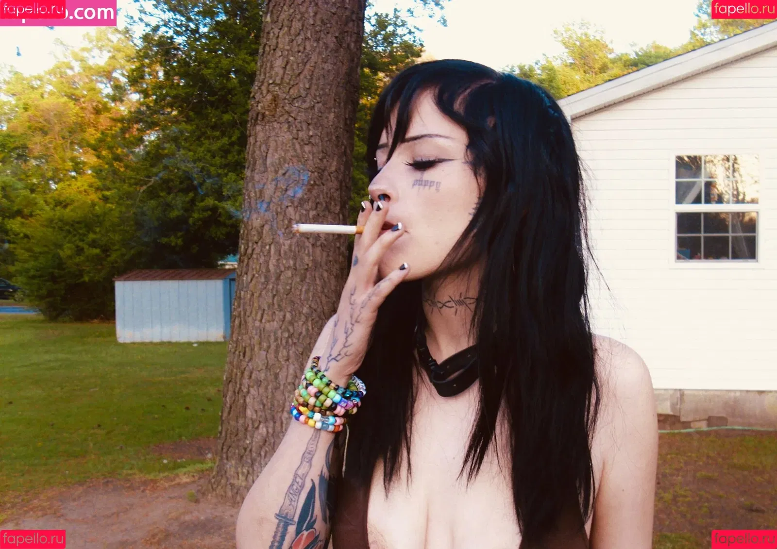 Kennelsent / Lostwetdog Onlyfans Photo Gallery 