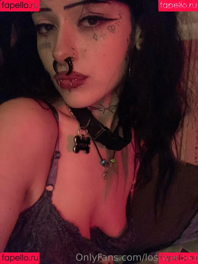 Kennelsent / Lostwetdog Onlyfans Photo Gallery 