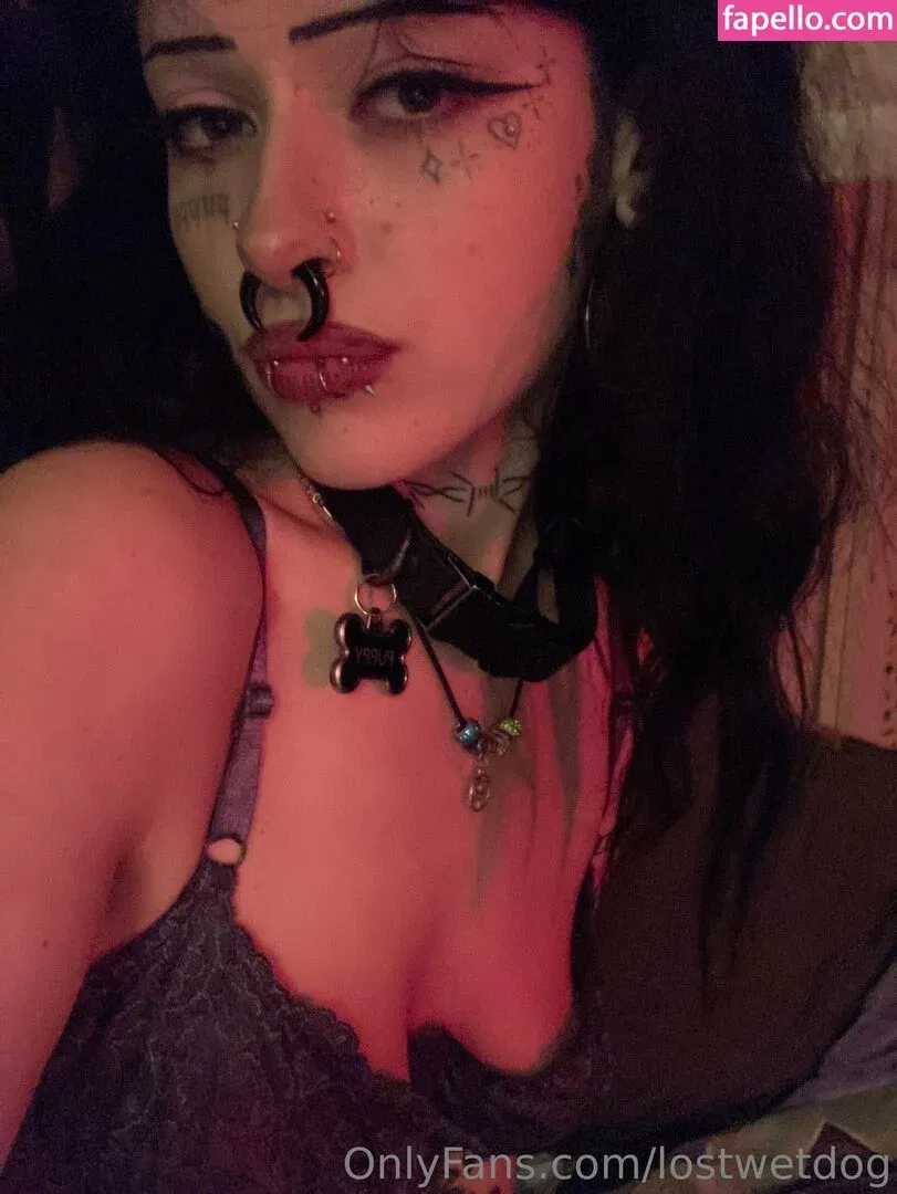 Kennelsent / Lostwetdog Onlyfans Photo Gallery 