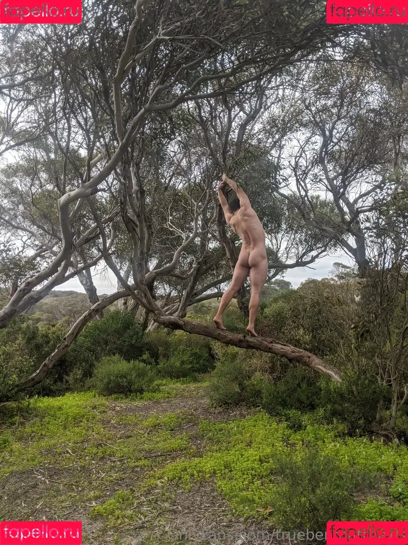 truebenmatthews / truebennett3 Onlyfans Photo Gallery 