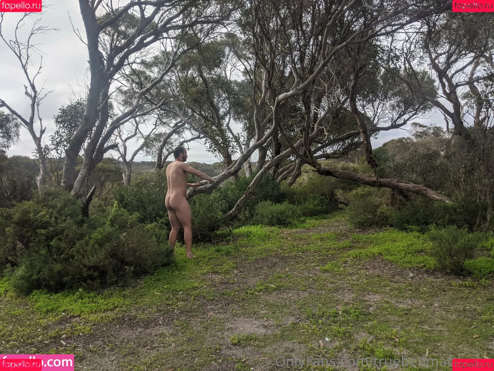 truebenmatthews / truebennett3 Onlyfans Photo Gallery 