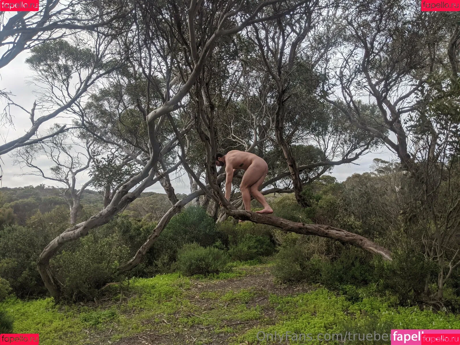 truebenmatthews / truebennett3 Onlyfans Photo Gallery 