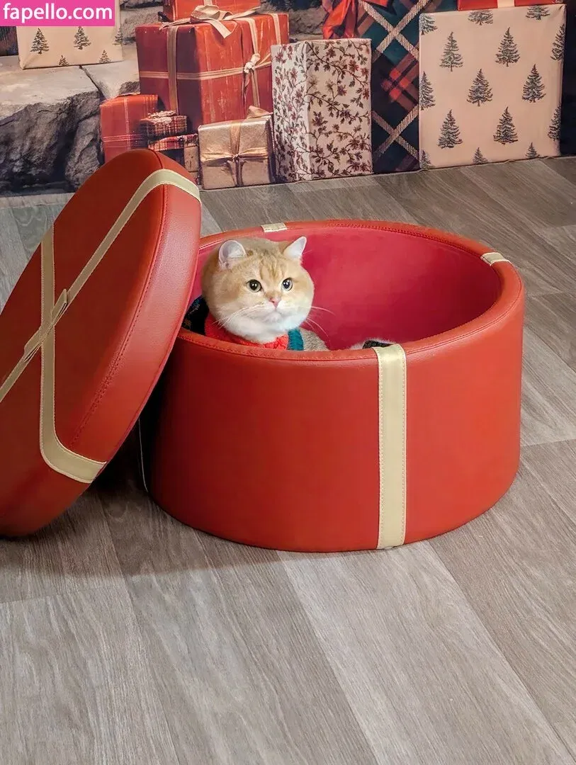 Bao / Baovtuber / sirbao.of / wowforbao Onlyfans Photo Gallery 