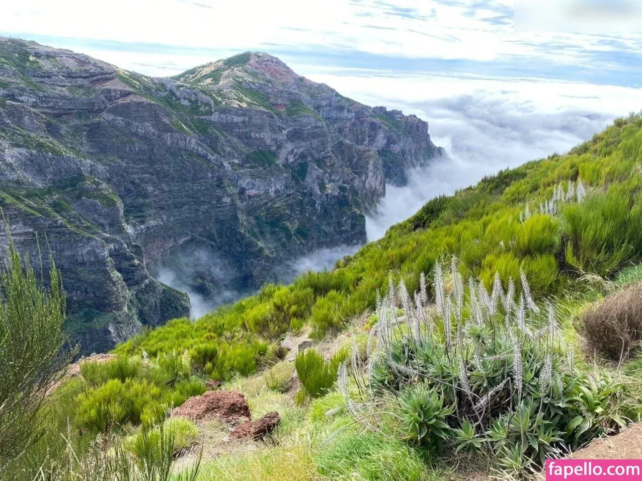 AoifeOneal / efa_o_neill Onlyfans Photo Gallery 