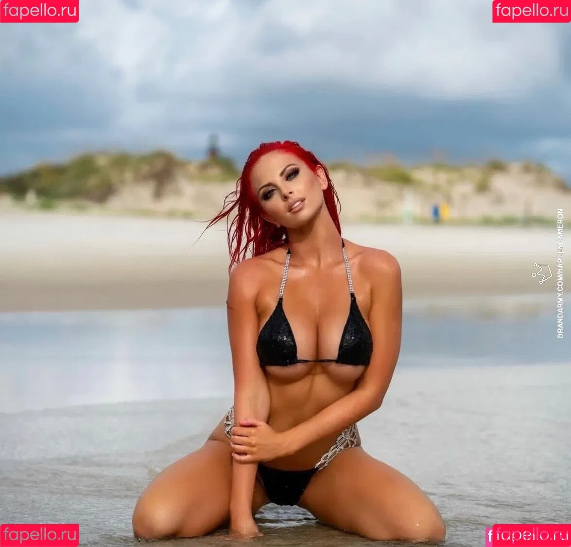 Danni Ellexo / Harley Cameron Brand Army / danni_ellexo / meh_danni Onlyfans Photo Gallery 