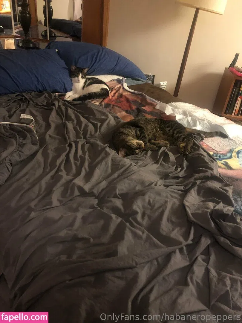 habanero_foods / habaneropeppers Onlyfans Photo Gallery 