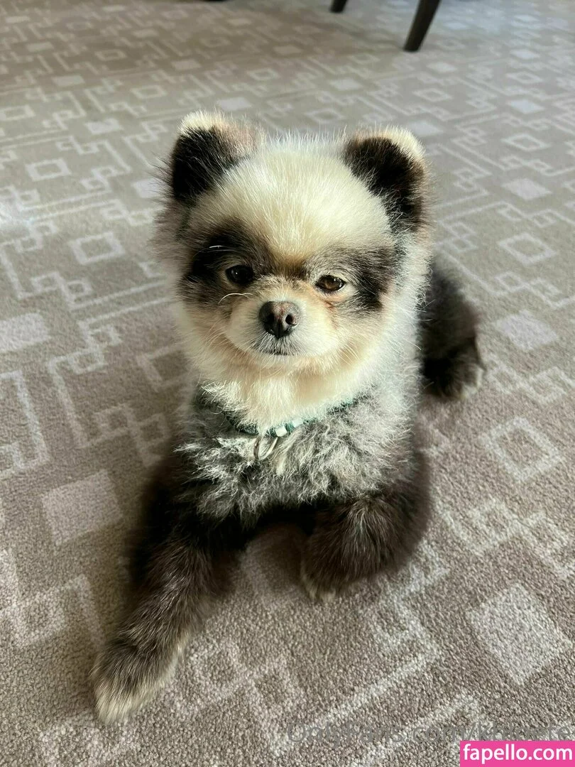 khloe / khloete Onlyfans Photo Gallery 