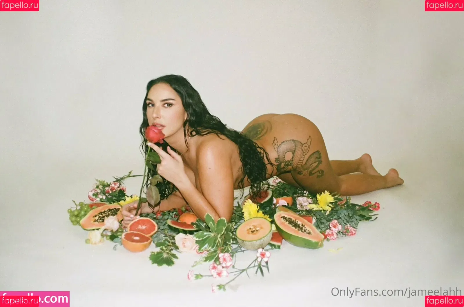 jameelahh / jamilakream Onlyfans Photo Gallery 