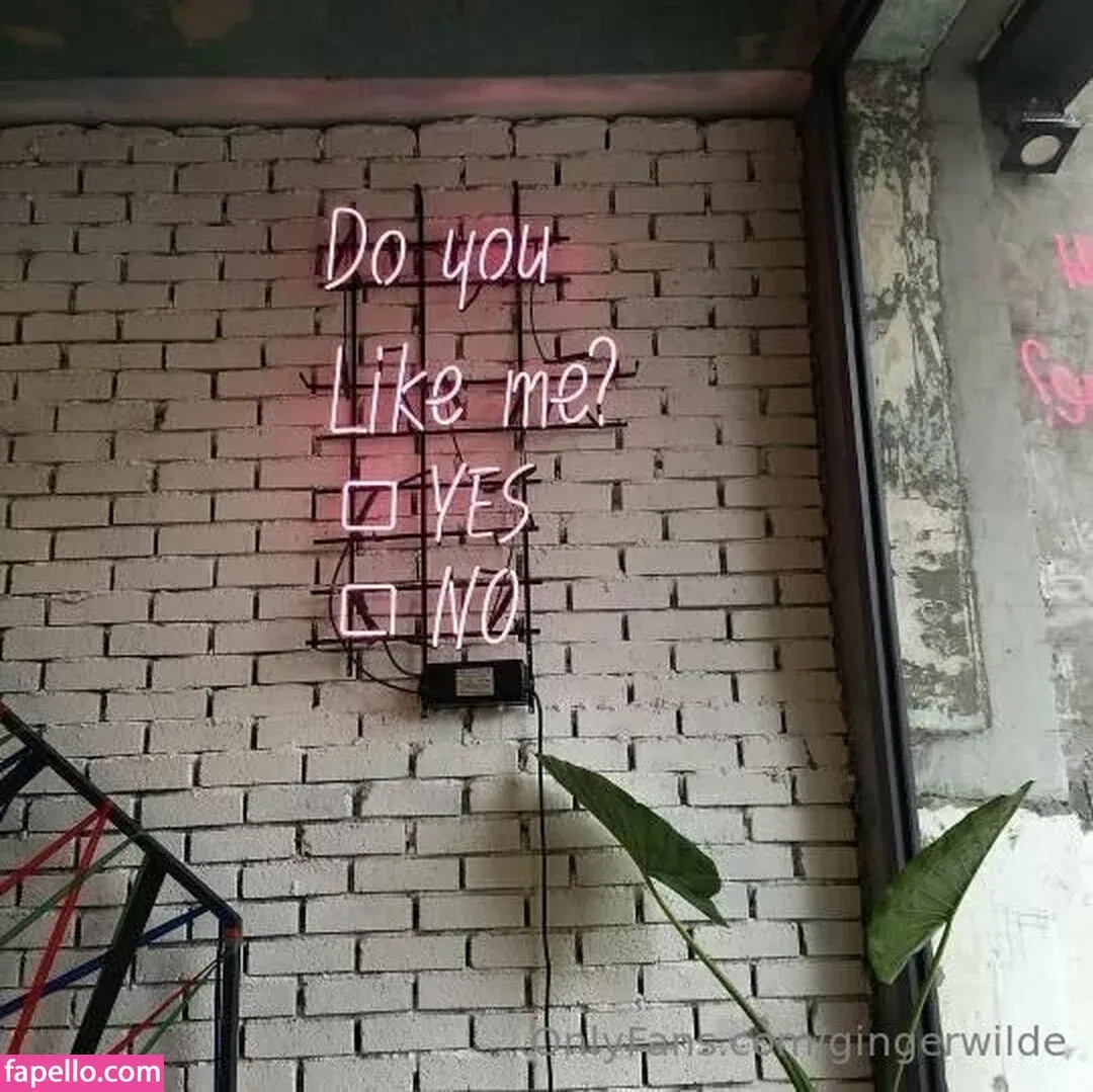 gingerwilde / gingerwildepage Onlyfans Photo Gallery 