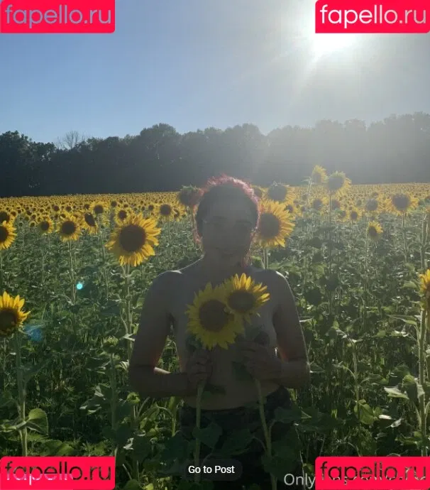 Cherryfairybee / Reclusefractal / lilmscriezalot Onlyfans Photo Gallery 
