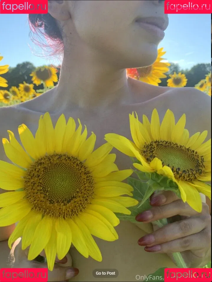 Cherryfairybee / Reclusefractal / lilmscriezalot Onlyfans Photo Gallery 