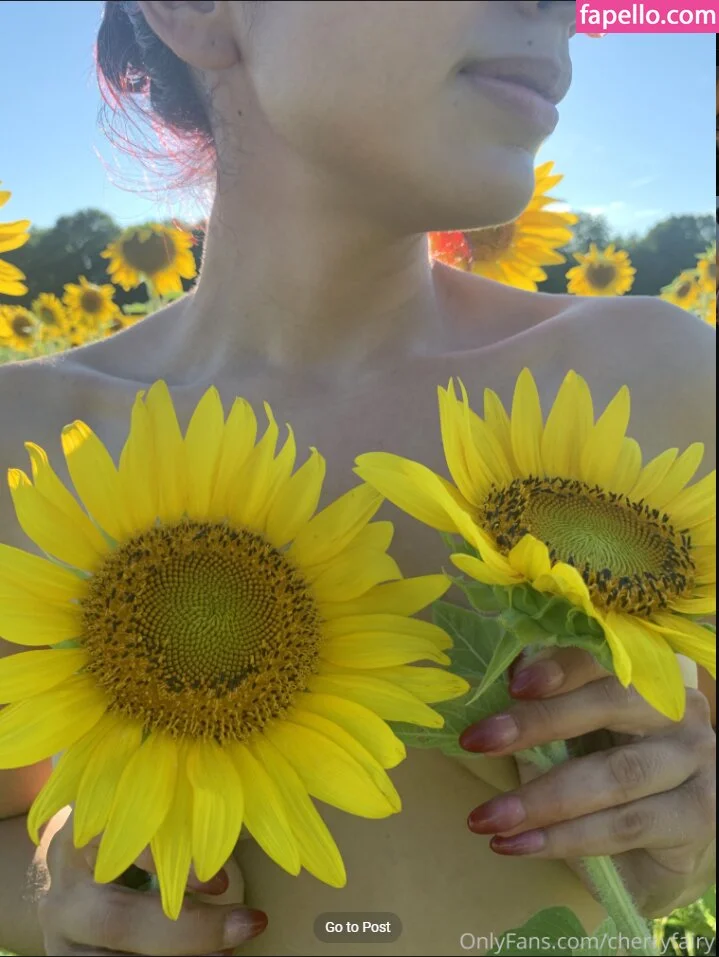 Cherryfairybee Nude Onlyfans Photo 28
