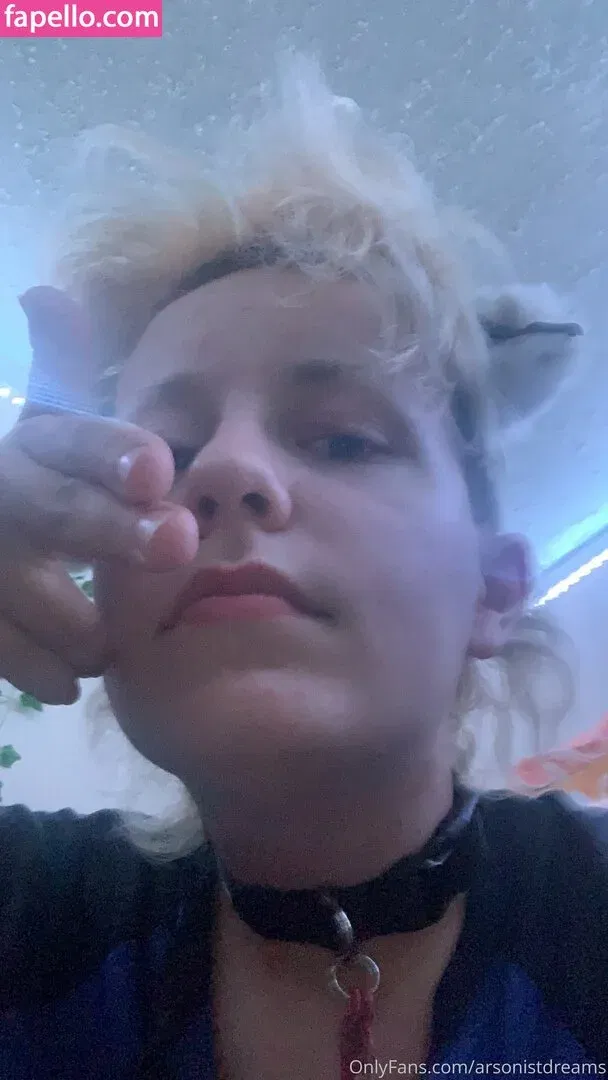 arsonistdreams / immagobeabean Onlyfans Photo Gallery 