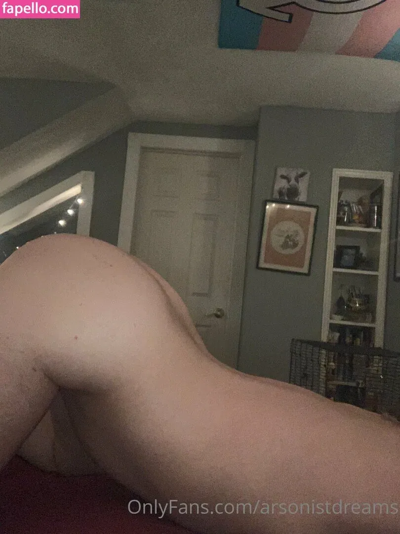 arsonistdreams / immagobeabean Onlyfans Photo Gallery 