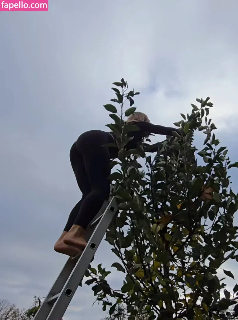 Lola Weippert / lolaweippert Onlyfans Photo Gallery 