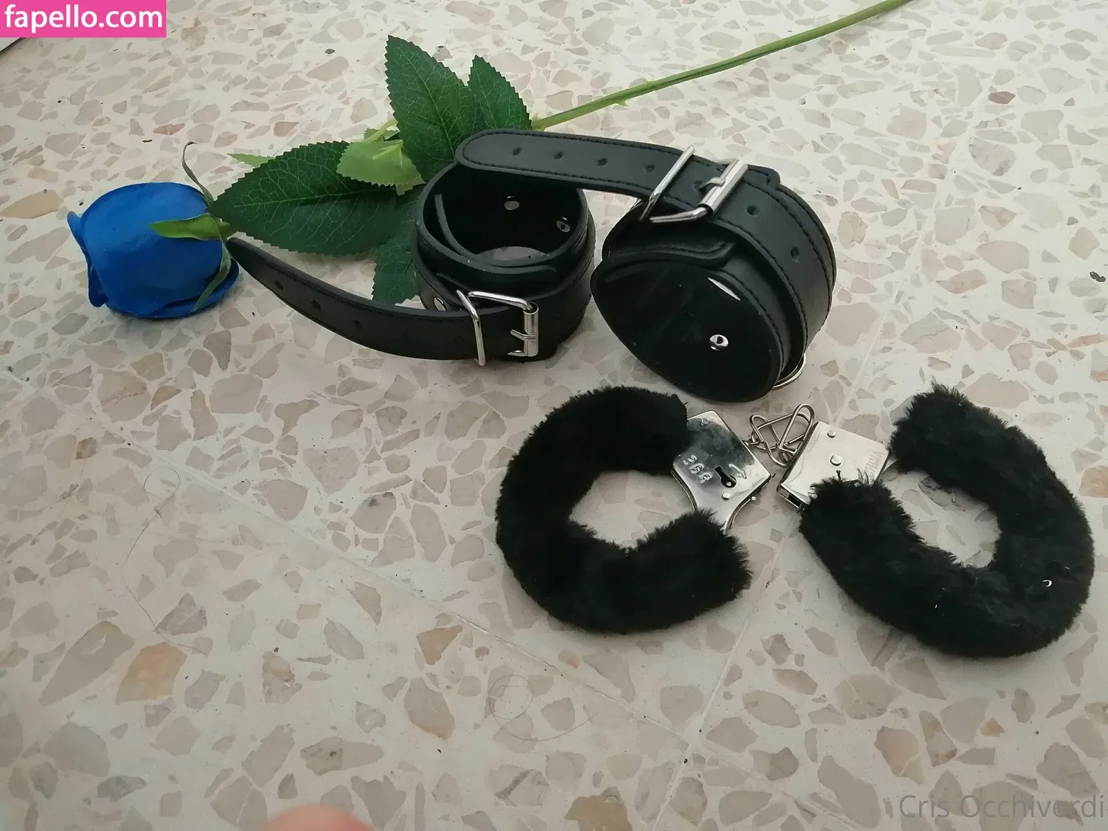 maynunez18 / u186774561 Onlyfans Photo Gallery 