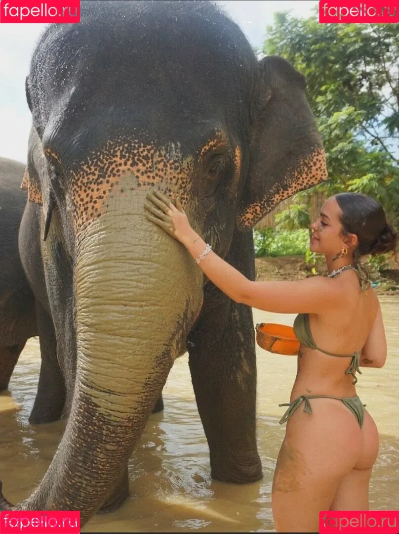 Dezoitou / Mel Maia / mel.maia / melissamelmaia Onlyfans Photo Gallery 