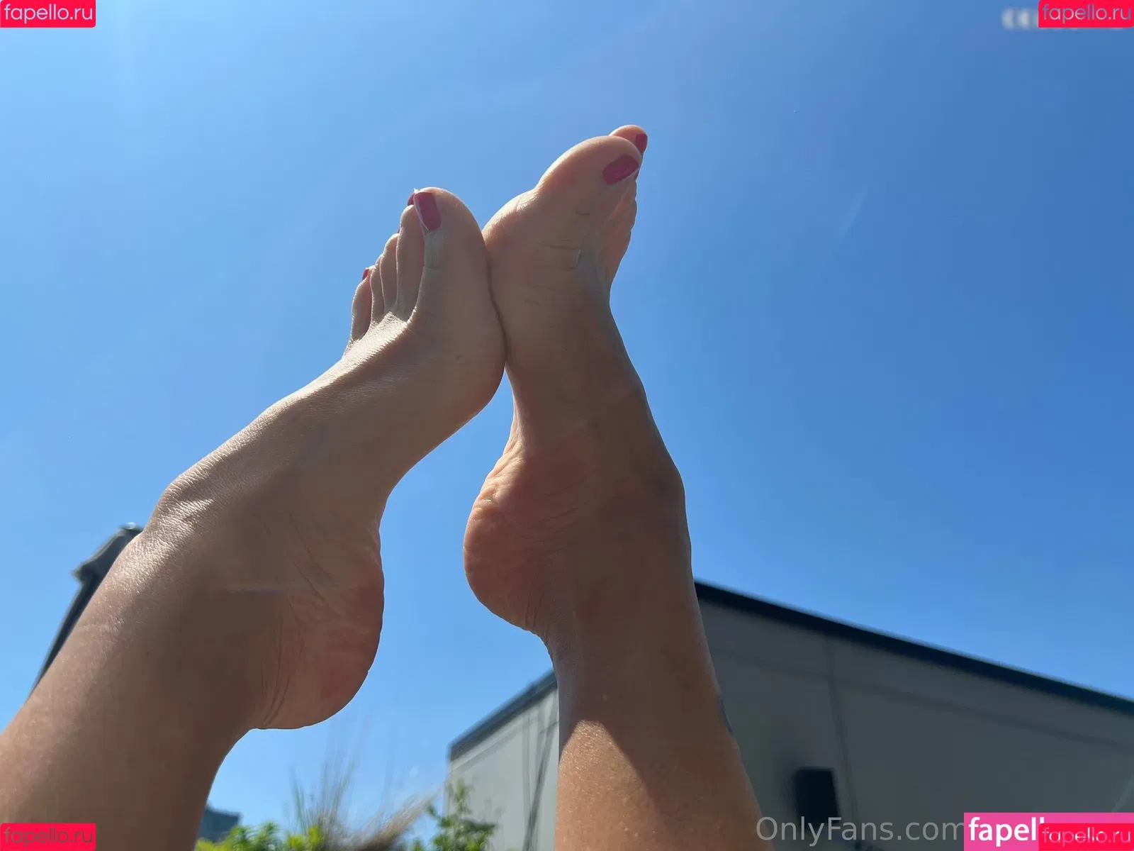 Asa Akira / asaakira / asahole Onlyfans Photo Gallery 