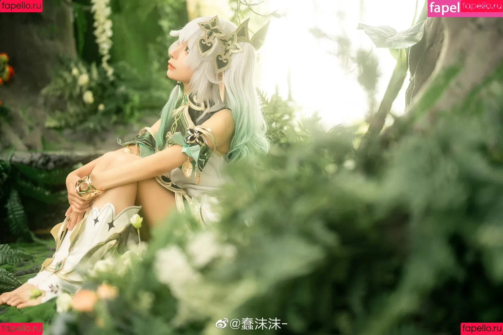 Chunmomo / chun.mo_0127 / chunmomo0127 / 蠢沫沫momo Onlyfans Photo Gallery 