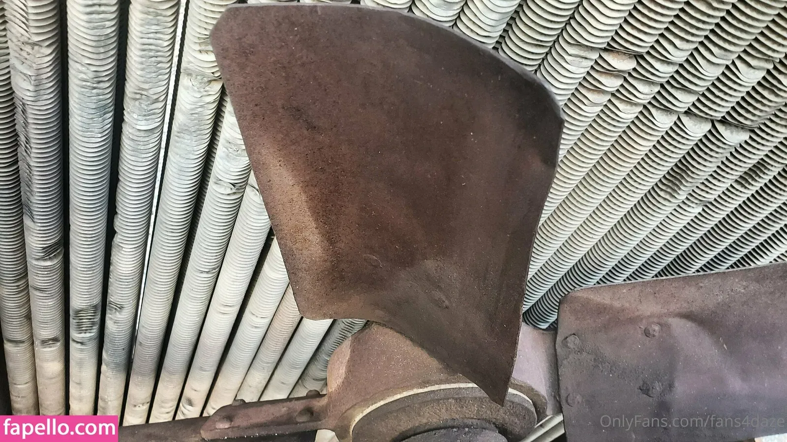 fans4daze / flowz4daze Onlyfans Photo Gallery 