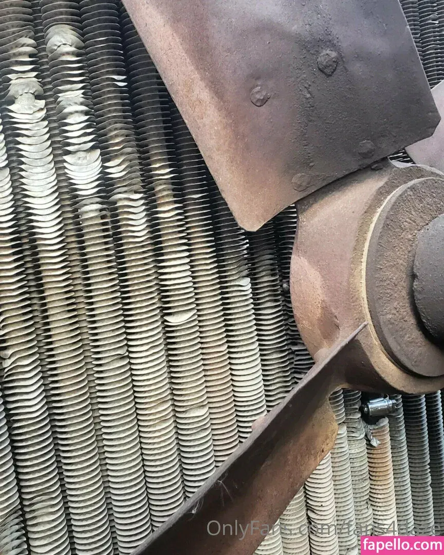 fans4daze / flowz4daze Onlyfans Photo Gallery 