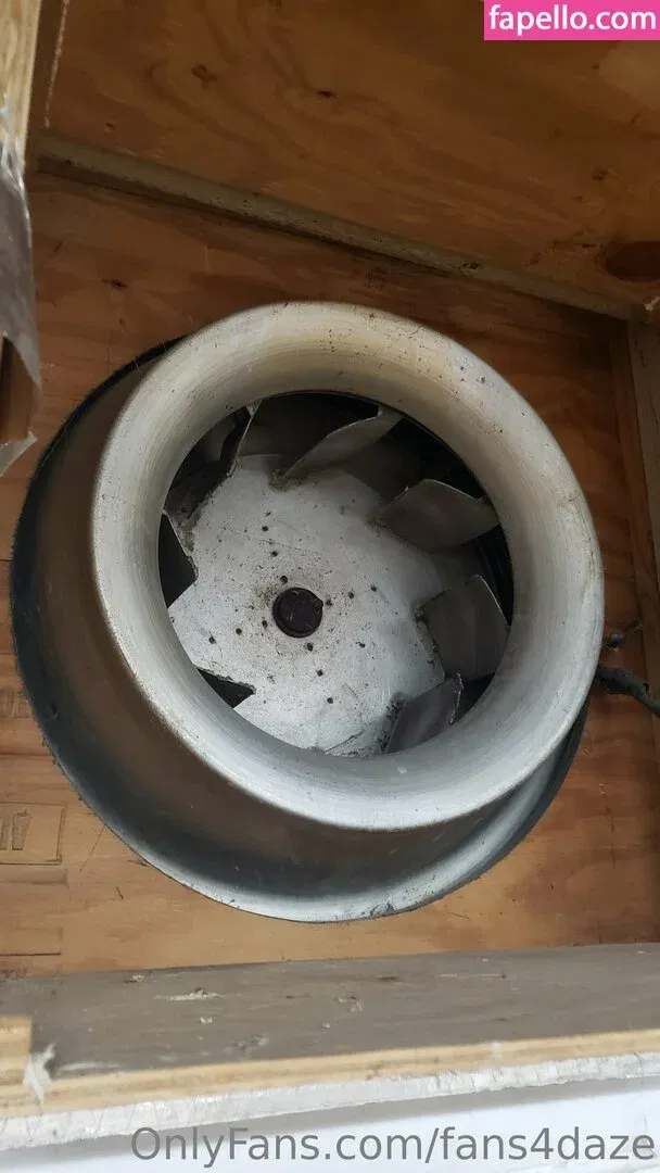 fans4daze / flowz4daze Onlyfans Photo Gallery 