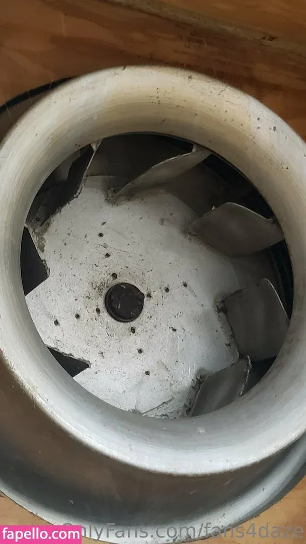 fans4daze / flowz4daze Onlyfans Photo Gallery 