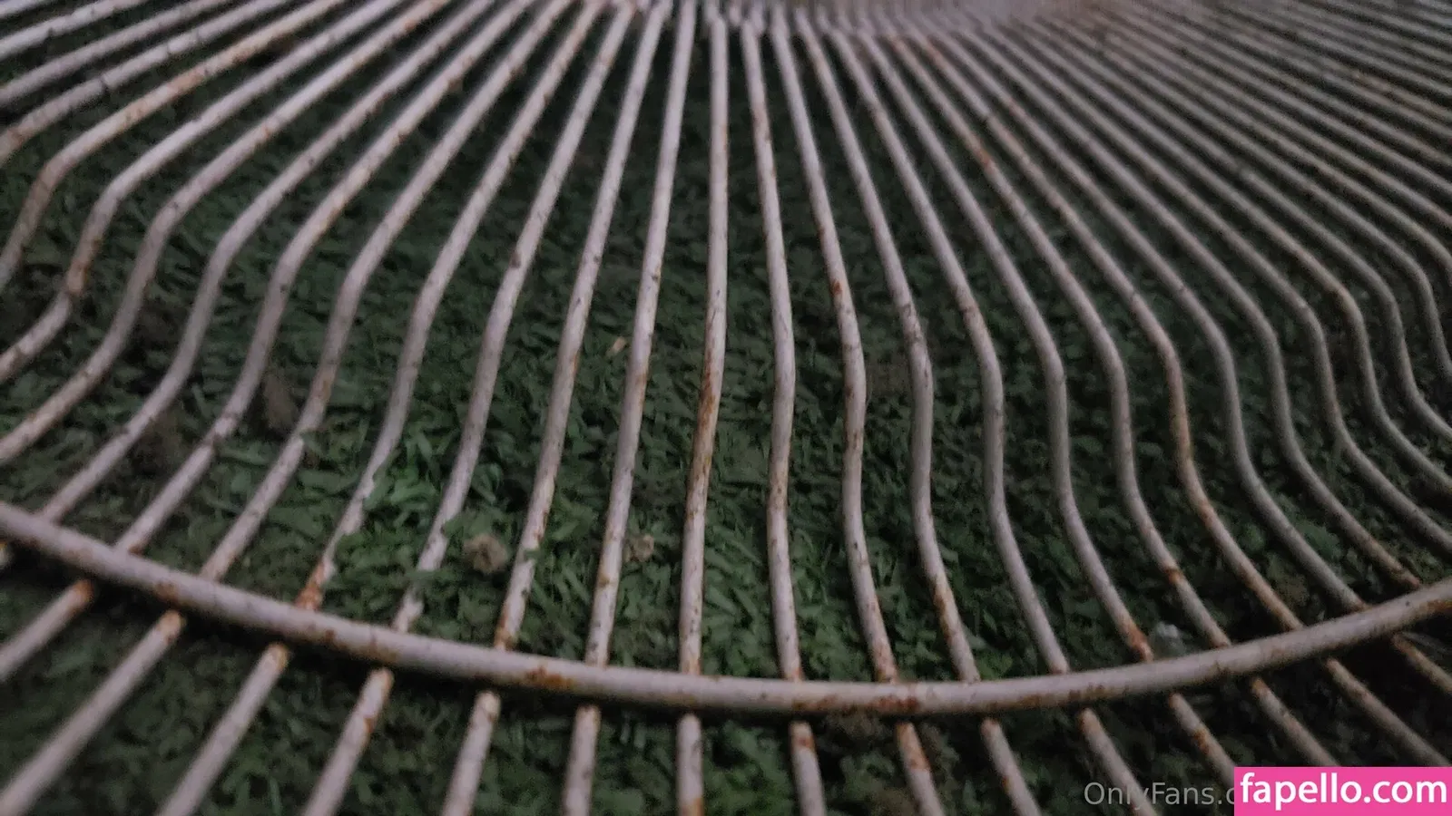 fans4daze / flowz4daze Onlyfans Photo Gallery 