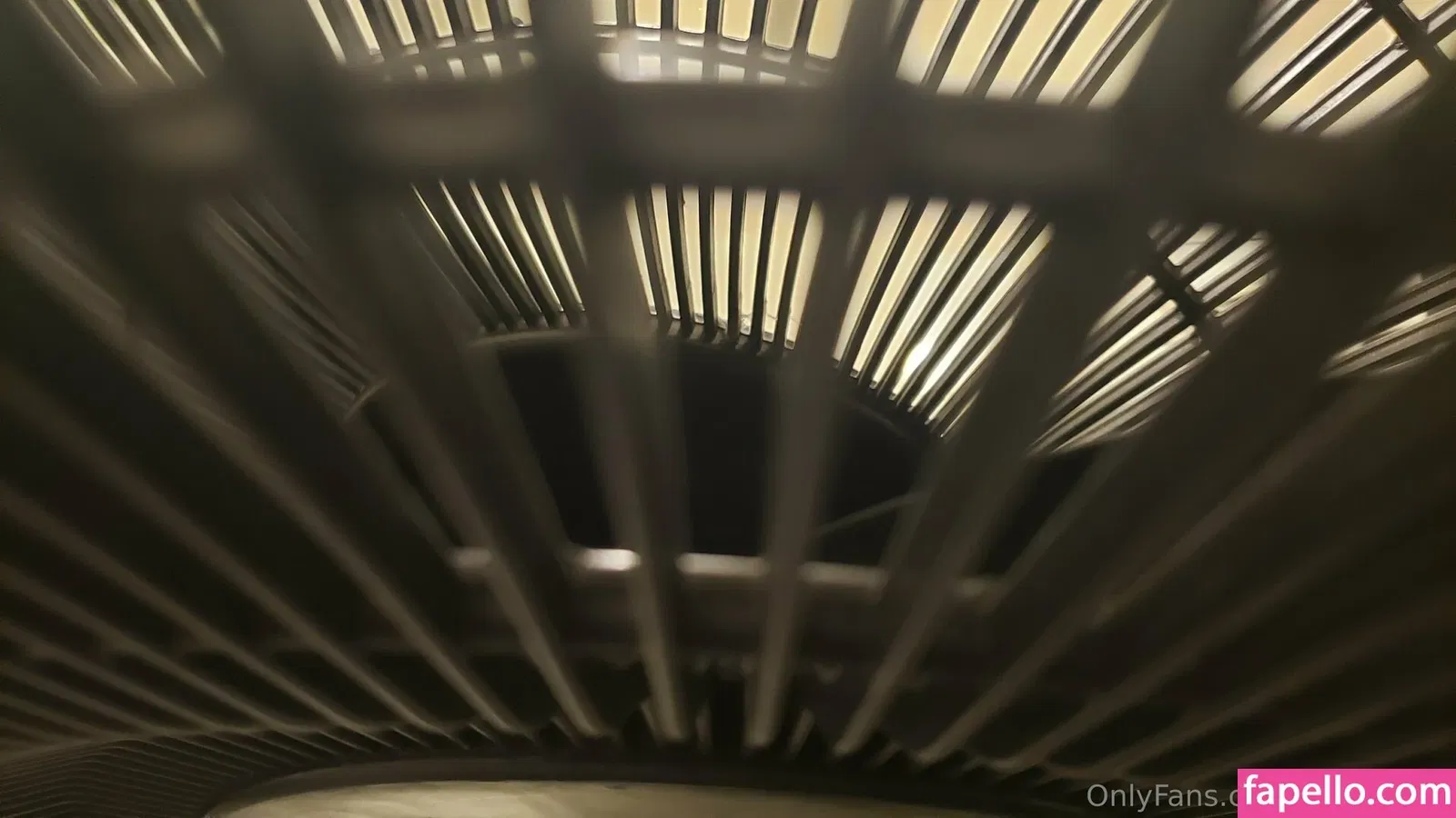 fans4daze / flowz4daze Onlyfans Photo Gallery 