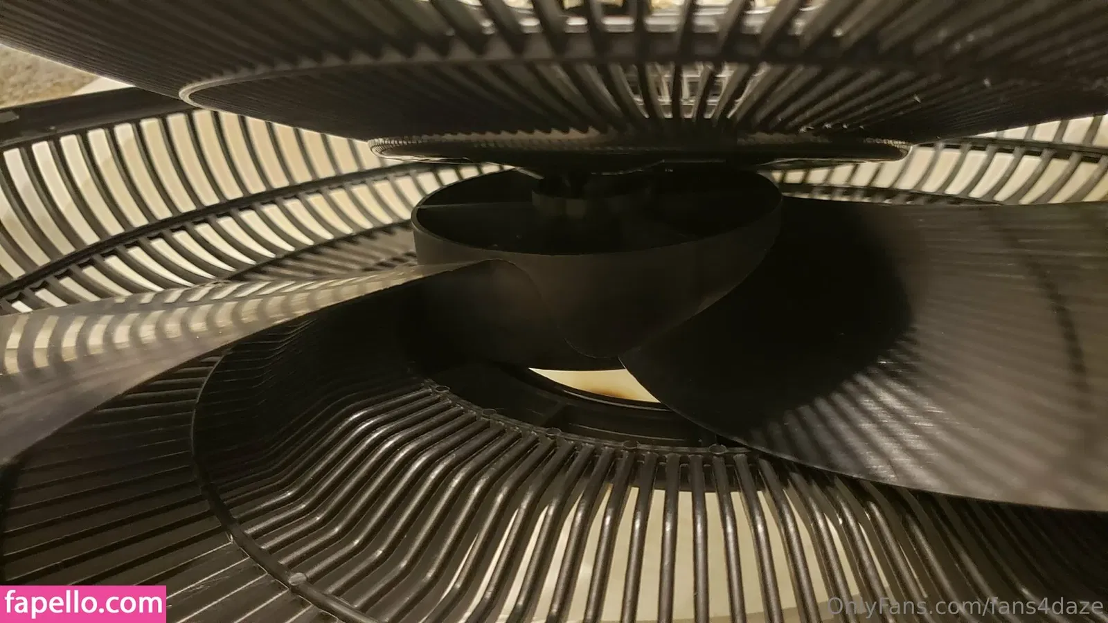 fans4daze / flowz4daze Onlyfans Photo Gallery 